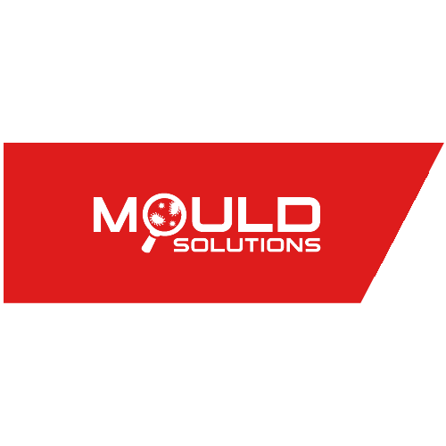 GeoFocus Mould Solutions